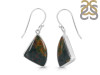 Blood Stone Earring-E BDS-3-28