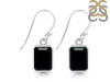 Black Tourmaline Earring BLS-RDE-1328.