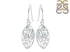 Blue Chalcedony Earring BLX-RDE-40.