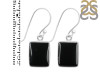 Black Onyx Earring-E BOX-3-46