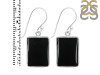 Black Onyx Earring-E BOX-3-47