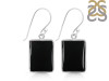 Black Onyx Earring-E BOX-3-47
