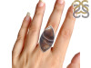 Botswana Agate Ring-R-Size-8 BWA-2-48