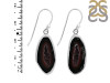 Coconut Geode Earring-E CCG-3-13