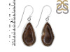 Coconut Geode Earring-E CCG-3-15