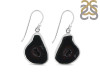 Coconut Geode Earring-E CCG-3-18