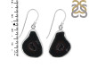 Coconut Geode Earring-E CCG-3-18