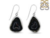Coconut Geode Earring-E CCG-3-27