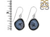 Coconut Geode Earring-E CCG-3-28