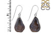 Coconut Geode Earring-E CCG-3-29