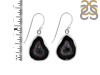 Coconut Geode Earring-E CCG-3-32