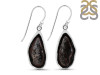Coconut Geode Earring-E CCG-3-6