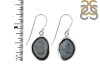 Coconut Geode Earring-E CCG-3-8