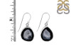 Coconut Geode Earring-E CCG-3-9