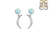 Close Out Larimar Earring LAR-CO-RE-3.
