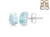 Close Out Larimar Earring LAR-CO-RDE-1207.