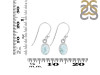 Close Out Larimar Earring LAR-CO-RDE-1285.