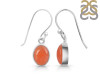 Carnelian Earring-E CRL-3-2
