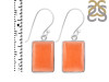 Carnelian Earring-E CRL-3-3