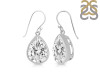 Crystal Earring CST-RDE-1253.
