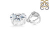Crystal Pendant CST-RDP-750-V-LOOP.