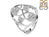 Crystal Ring CST-RDR-31.