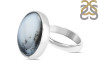 Dendritic Agate Adjustable Ring-ADJ-R DDA-2-149