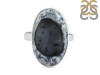 Dendritic Agate Adjustable Ring-ADJ-R DDA-2-161