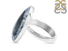 Dendritic Agate Adjustable Ring-ADJ-R DDA-2-161