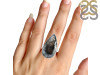 Dendritic Agate Adjustable Ring-ADJ-R DDA-2-174