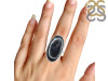 Dendritic Agate Adjustable Ring-ADJ-R DDA-2-186