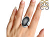 Dendritic Agate Adjustable Ring-ADJ-R DDA-2-187