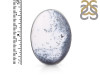 Dendritic Agate Adjustable Ring-ADJ-R DDA-2-212