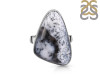 Dendritic Agate Adjustable Ring-ADJ-R DDA-2-229