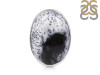 Dendritic Agate Adjustable Ring-ADJ-R DDA-2-234