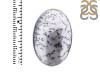 Dendritic Agate Adjustable Ring-ADJ-R DDA-2-235