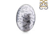 Dendritic Agate Adjustable Ring-ADJ-R DDA-2-235