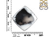 Dendritic Agate Adjustable Ring-ADJ-R DDA-2-243