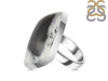 Dendritic Agate Adjustable Ring-ADJ-R DDA-2-243