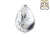 Dendritic Agate Adjustable Ring-ADJ-R DDA-2-244