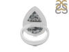 Dendritic Agate Adjustable Ring-ADJ-R DDA-2-245