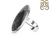 Dendritic Agate Adjustable Ring-ADJ-R DDA-2-249