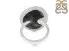 Dendritic Agate Adjustable Ring-ADJ-R DDA-2-249