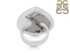 Dendritic Agate Adjustable Ring-ADJ-R DDA-2-255
