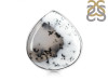 Dendritic Agate Adjustable Ring-ADJ-R DDA-2-257