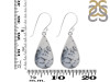 Dendritic Agate Earring-E DDA-3-101