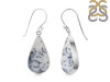 Dendritic Agate Earring-E DDA-3-101