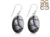 Dendritic Agate Earring-E DDA-3-104