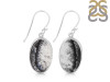 Dendritic Agate Earring-E DDA-3-106