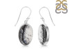 Dendritic Agate Earring-E DDA-3-106